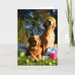 Haben Sie ein goldenes Ostern Feiertagskarte