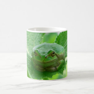 Haben Sie ein Lächeln jeden Tag Kaffeetasse