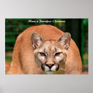 Haben Sie ein Weihnachtsfest Poster