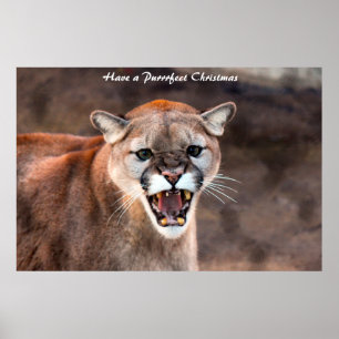 Haben Sie ein Weihnachtsfest Poster