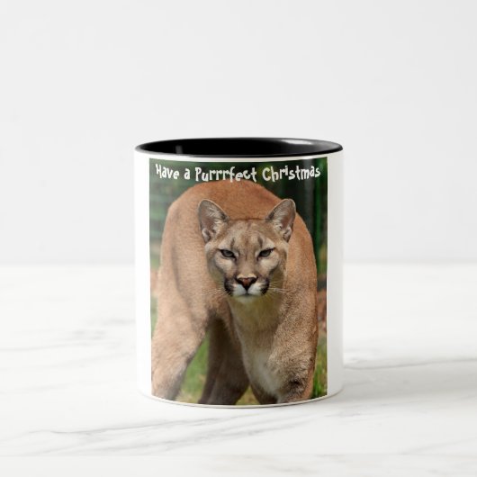 Haben Sie ein Weihnachtsfest Zweifarbige Tasse (Mittel)