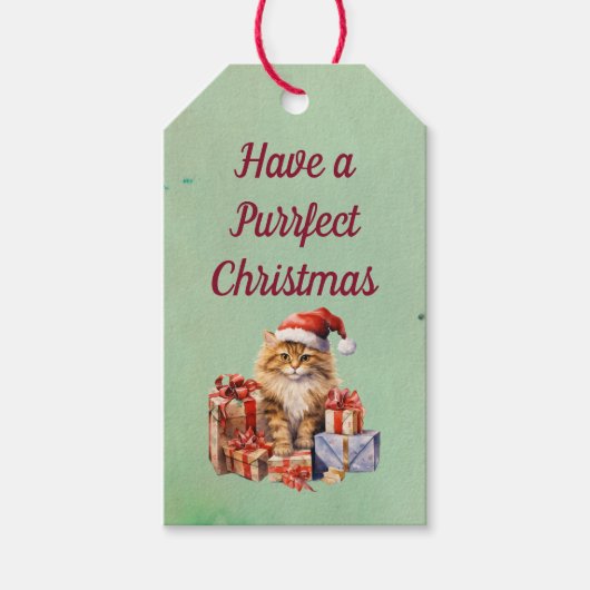 Haben Sie ein Weihnachtsgeschenk-Tag Geschenkanhänger (Vorderseite)