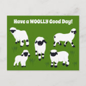 Haben Sie ein WOOLY Good Day Wallis Blacknowledged Postkarte (Vorderseite)