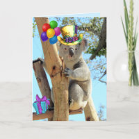 Haben Sie eine Koala-ty-Geburtstagskarte