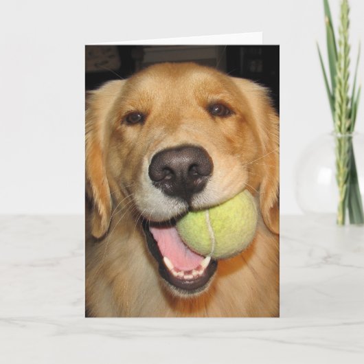 Haben Sie einen Ball! Karte (Vorderseite)