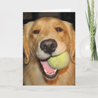 Haben Sie einen Ball! Karte