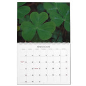 Haben Sie einen bunten Mauerkalender Kalender (Mär 2026)