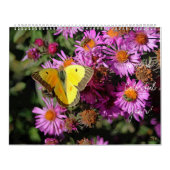 Haben Sie einen bunten Mauerkalender Kalender (Titelbild)