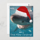 Haben Sie einen großen weißen Weihnachtshai Austra Postkarte (Vorne/Hinten)