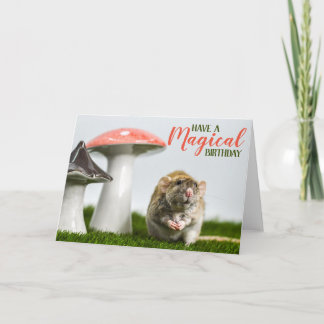 Haben Sie einen magischen Geburtstag Karte