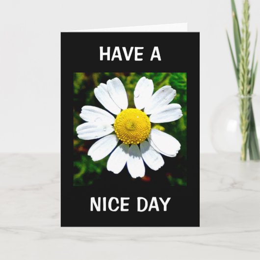 Haben Sie einen schönen Geburtstag? Karte (Vorderseite)