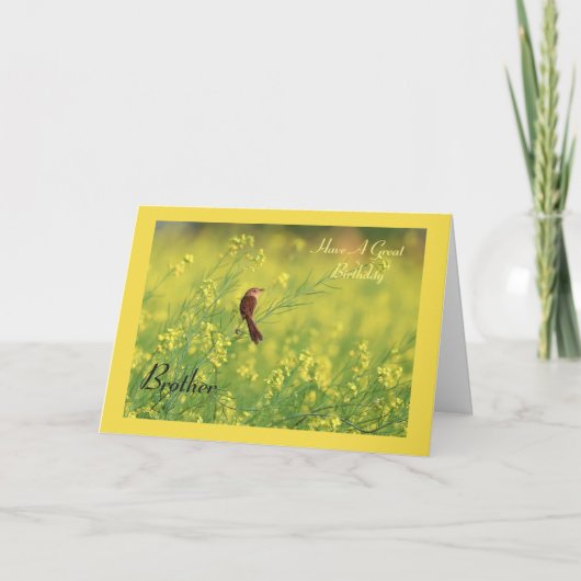 Haben Sie einen tollen Geburtstag? Karte (Vorderseite)