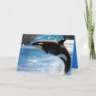 Haben Sie einen Wal eines Tages! Karte