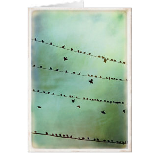 Haben Sie gehört? - Freier Raum