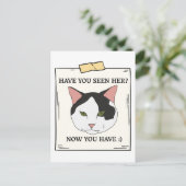 Haben Sie Katze jetzt Gewollt? Postkarte (Stehend Vorderseite)