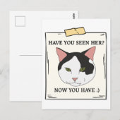 Haben Sie Katze jetzt Gewollt? Postkarte (Vorne/Hinten)