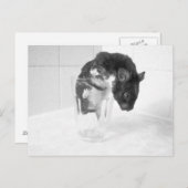 Haben Sie Lust auf einen Drink? Postkarte (Vorne/Hinten)