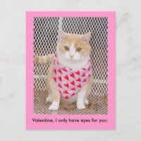 Haben Sie nur Augen für Sie