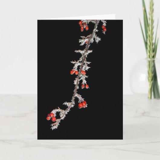 Haben Sie sich ein kleines berry Weihnachten? Karte (Vorderseite)