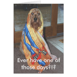 Haben Sie überhaupt einen jener Tage?!?