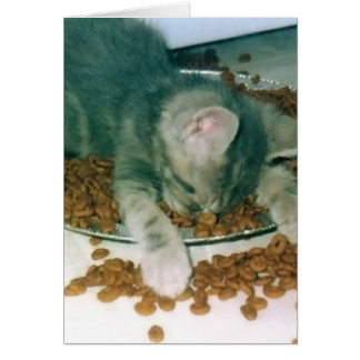 Haben Sie überhaupt gewesen ermüdetes dieses