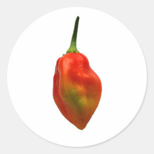 Habernero Single-Pfeffer-Fotografie Runder Aufkleber