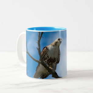 Habicht auf der Jagd Blau 11 oz Zwei-Ton-Tasse Zweifarbige Tasse