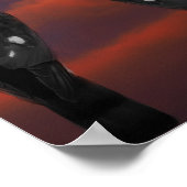 Habicht Sturm Poster (Ecke)
