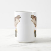 Habicht-Tasse Kaffeetasse (Mittel)