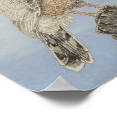Habicht von Cooper Poster (Ecke)