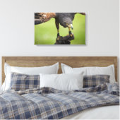 Habichtsvogel Leinwanddruck (Insitu (Schlafzimmer))