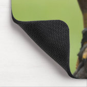 Habichtsvogel Mousepad (Ecke)