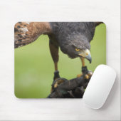 Habichtsvogel Mousepad (Mit Mouse)