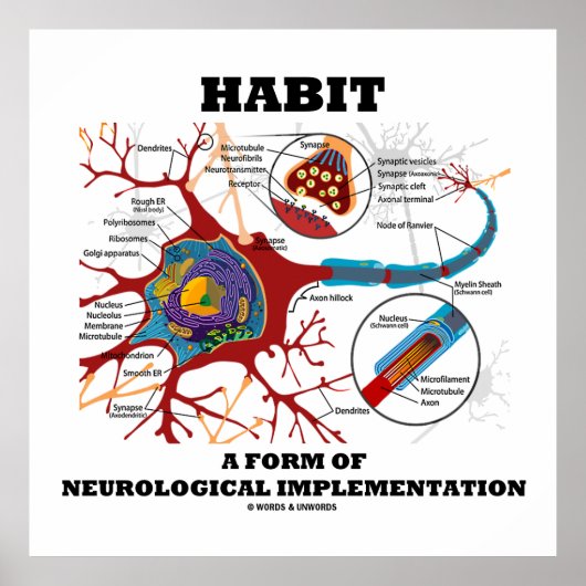 Habit eine Form neurologischer Implementation Neur Poster (Vorne)