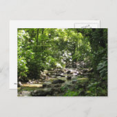 Habitation Céron 1 - Martinique, F.W.I. Postkarte (Vorne/Hinten)