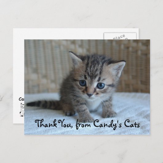 Habu danken Ihnen Postkarten (Vorne/Hinten)