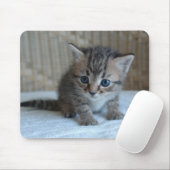 Habus Mousepad (Mit Mouse)