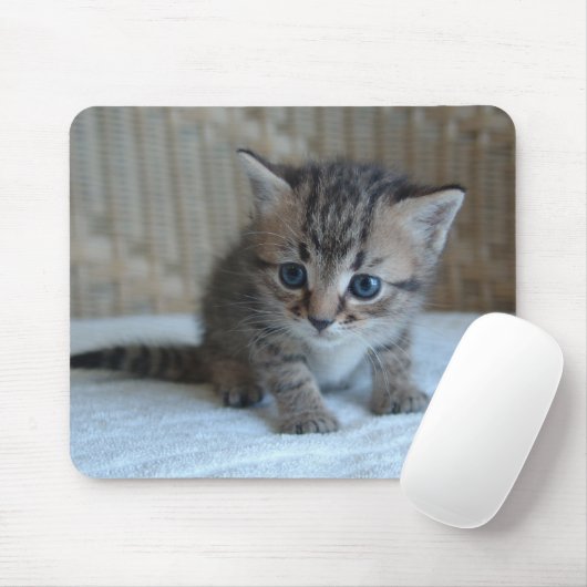 Habus Mousepad (Mit Mouse)