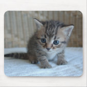 Habus Mousepad (Vorne)