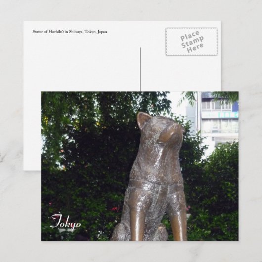 Hachiko Postkarte (Vorne/Hinten)