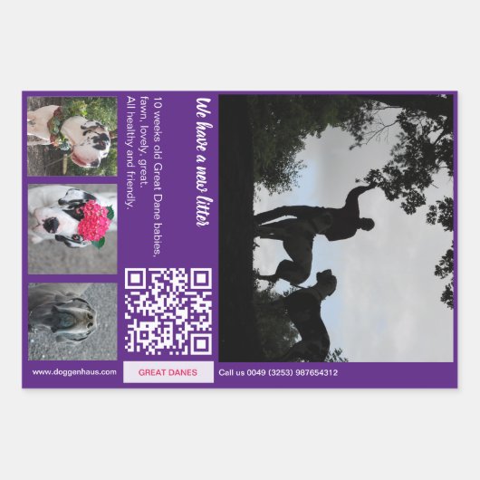 Hack the wrapper: Welpe verkauft Werbeaktion Geschenkpapier Set (Vorderseite)