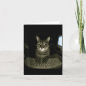 Hacker Cat Meme Funny Computer Cat Kitten Gamer Ca Karte (Vorderseite)