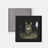 Hacker-Katzen-Meme Lustige Computerkatze Kätzchen Magnet (Vorderseite/Rückseite)