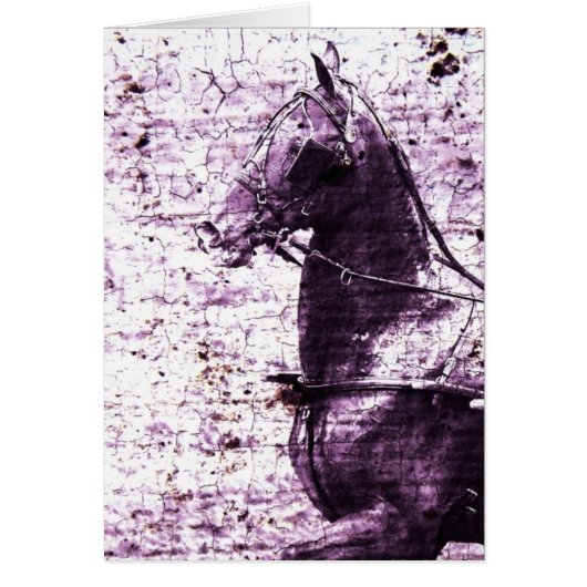 Hackey Crackle Digital Art (Vorne)