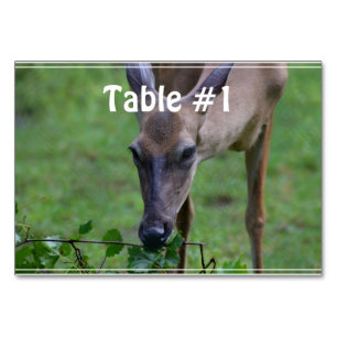 Hackhirsch Tischnummer