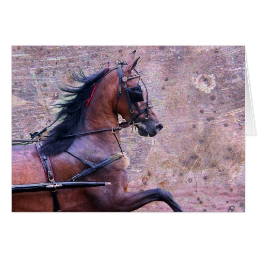 Hackney Grunge (Vorderseite (Horizontal))