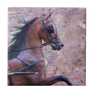 Hackney Grunge Fliese