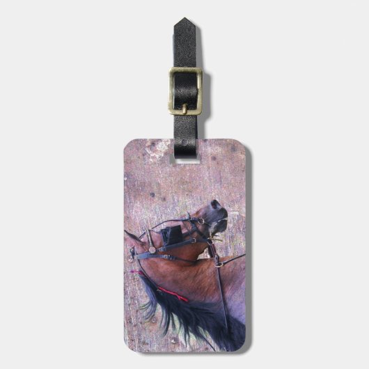 Hackney Grunge Gepäckanhänger (Vorderseite vertikal)