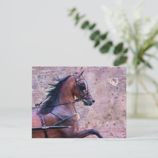 Hackney Grunge Postkarte (Stehend Vorderseite)