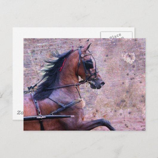 Hackney Grunge Postkarte (Vorne/Hinten)